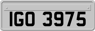 IGO3975
