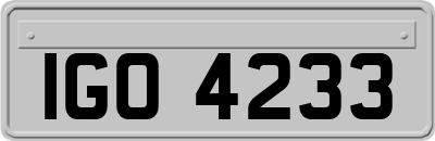 IGO4233