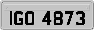 IGO4873