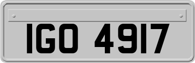 IGO4917