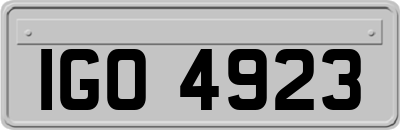 IGO4923