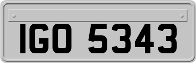 IGO5343