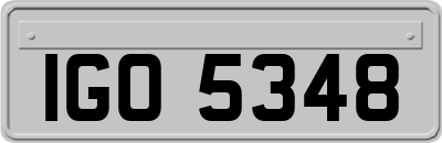 IGO5348