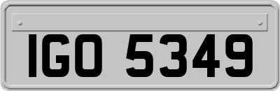 IGO5349