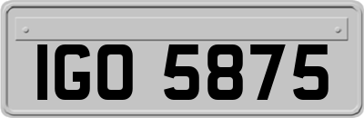 IGO5875