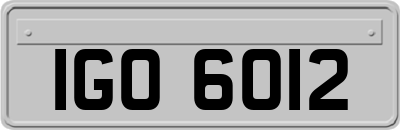 IGO6012
