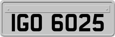 IGO6025