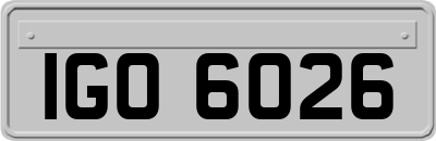IGO6026