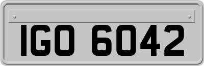 IGO6042