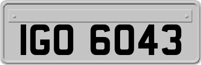 IGO6043
