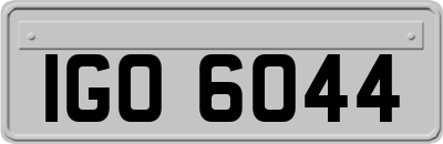 IGO6044