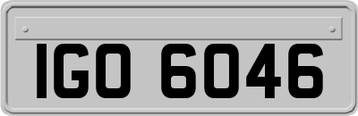 IGO6046