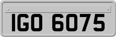 IGO6075