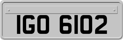 IGO6102