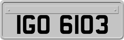 IGO6103