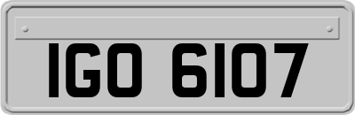 IGO6107