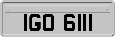 IGO6111