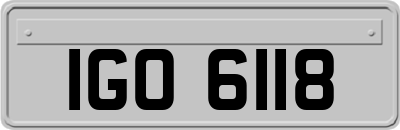 IGO6118