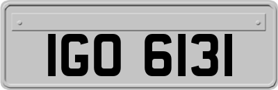 IGO6131