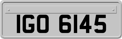 IGO6145