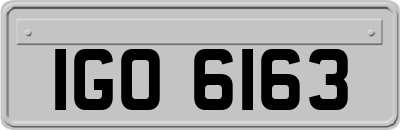 IGO6163
