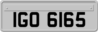 IGO6165
