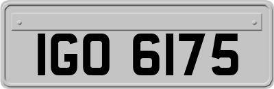 IGO6175