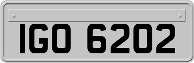 IGO6202