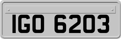 IGO6203