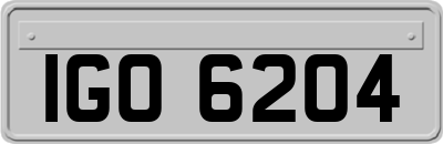 IGO6204