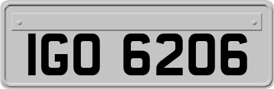 IGO6206