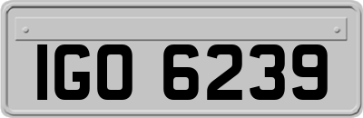 IGO6239