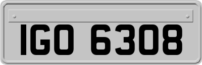 IGO6308
