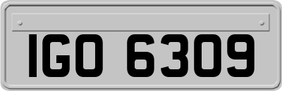 IGO6309