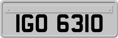 IGO6310