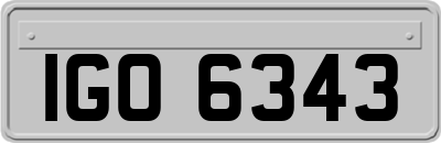 IGO6343