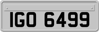 IGO6499