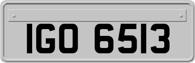 IGO6513