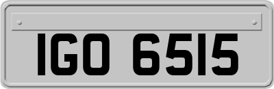 IGO6515