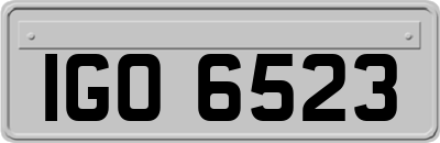 IGO6523