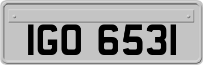 IGO6531