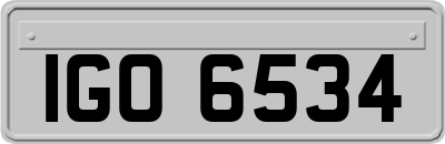 IGO6534
