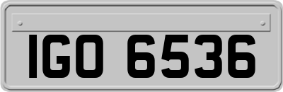 IGO6536