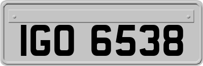 IGO6538