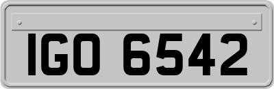IGO6542