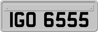 IGO6555