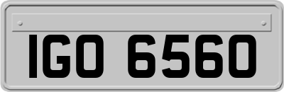 IGO6560