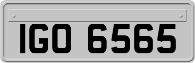 IGO6565