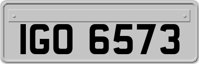 IGO6573