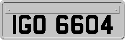 IGO6604